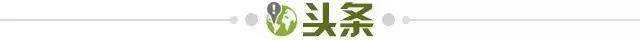 官网登录入口-【早报】难道卡里克真的是天才?